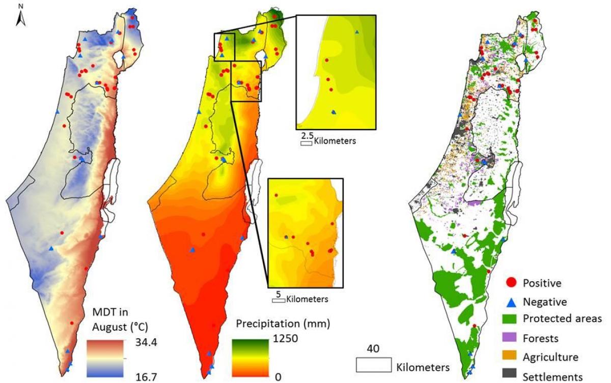 İsrail haritası iklim